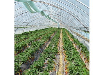 Agricultural gardening